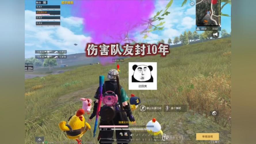 和平精英辅助【星北半火】防封端口 可防透视自瞄子弹追踪 支持苹果IOS手机设备